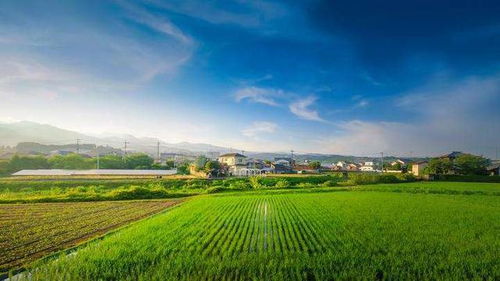 攀比飓风刮向田野 从拼车拼房到旅游，农村新“修罗场”